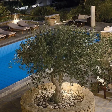 Willa Galaxy Ftelia (Mykonos)